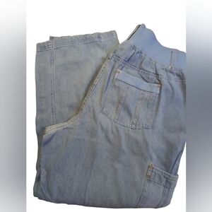 NWOT Woman Within 100% Cotton Light Blue Denim Jeans 18wp Zip Elastic Waist